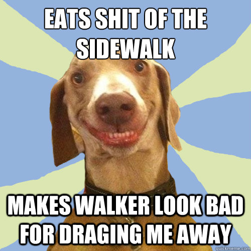 eats shit of the sidewalk
 makes walker look bad for draging me away  Disgusting Doggy