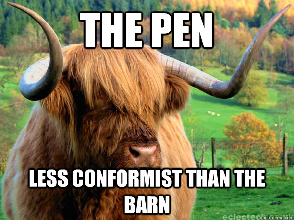 The pen less conformist than the barn  Angsty Teen Cow