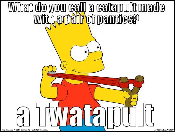 WHAT DO YOU CALL A CATAPULT MADE WITH A PAIR OF PANTIES? A TWATAPULT Misc