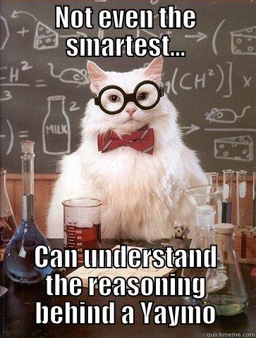 NOT EVEN THE SMARTEST... CAN UNDERSTAND THE REASONING BEHIND A YAYMO Chemistry Cat