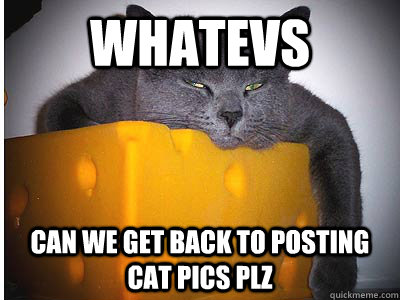 whatevs can we get back to posting cat pics plz  cheese cat