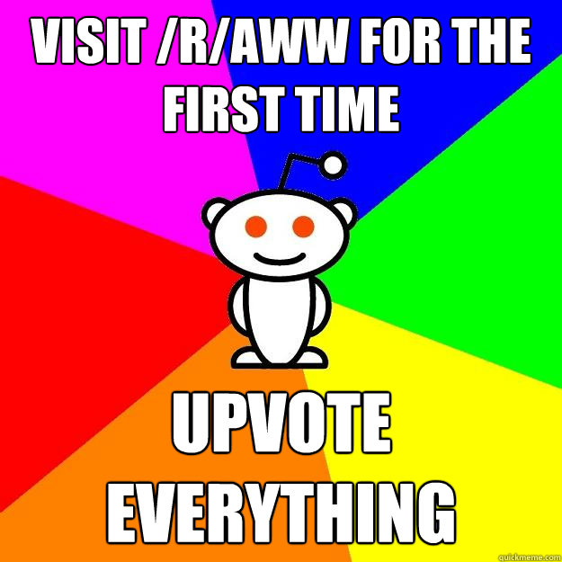 Visit /r/aww for the first time UPVOTE EVERYTHING  Reddit Alien