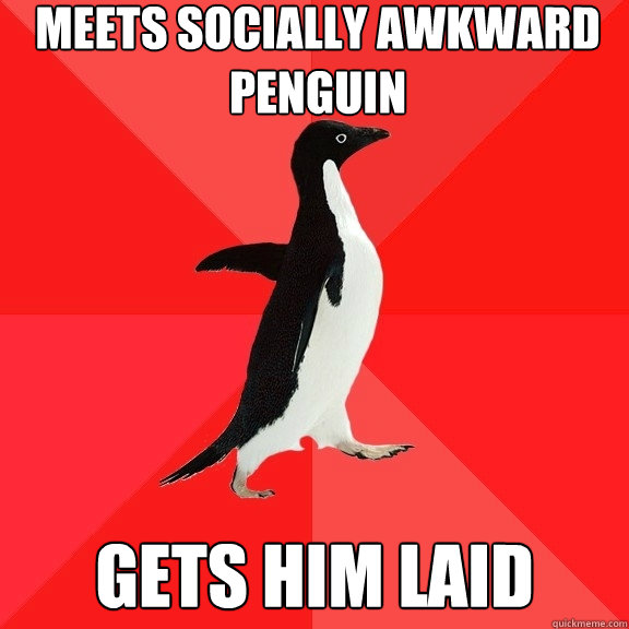 Meets Socially awkward penguin Gets him laid  Socially Awesome Penguin