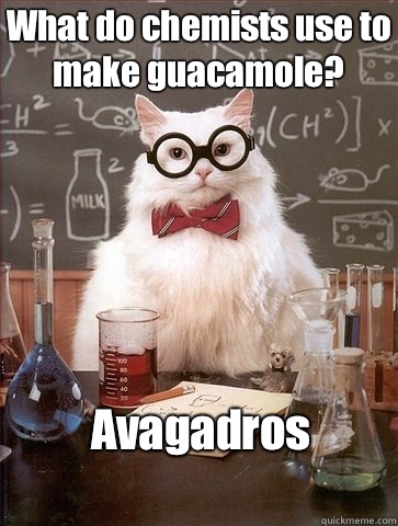 What do chemists use to make guacamole?  Avagadros  Chemistry Cat