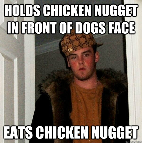 Holds Chicken Nugget in front of dogs face eats chicken nugget  Scumbag Steve