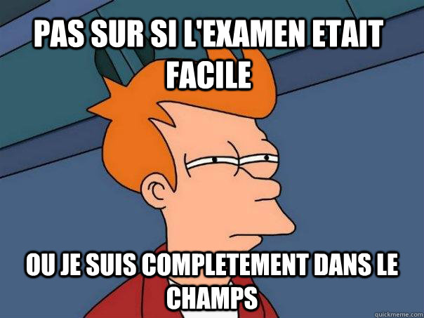 Pas sur si l'examen etait facile ou je suis completement dans le champs  Futurama Fry