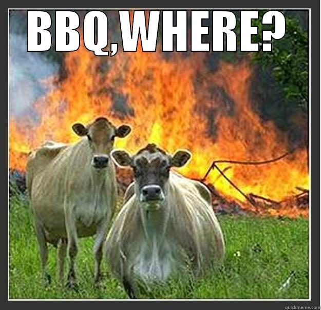 BBQ? WTF - BBQ,WHERE?  Evil cows