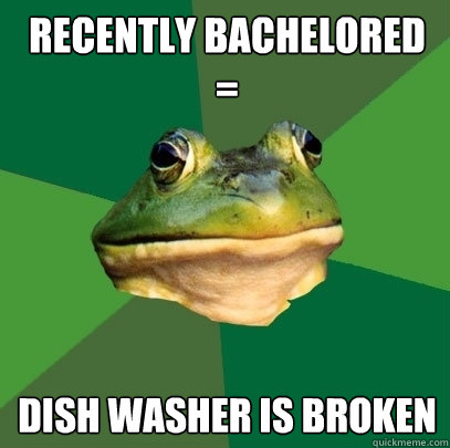 Recently Bachelored = Dish washer is broken - Recently Bachelored = Dish washer is broken  Foul Bachelor Frog