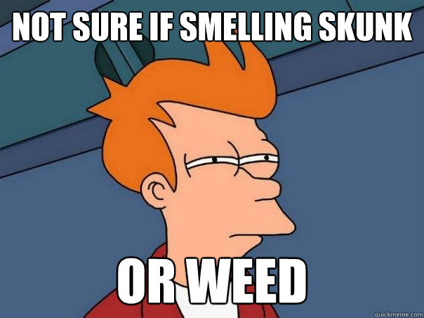 Not sure if smelling skunk  or weed  Futurama Fry