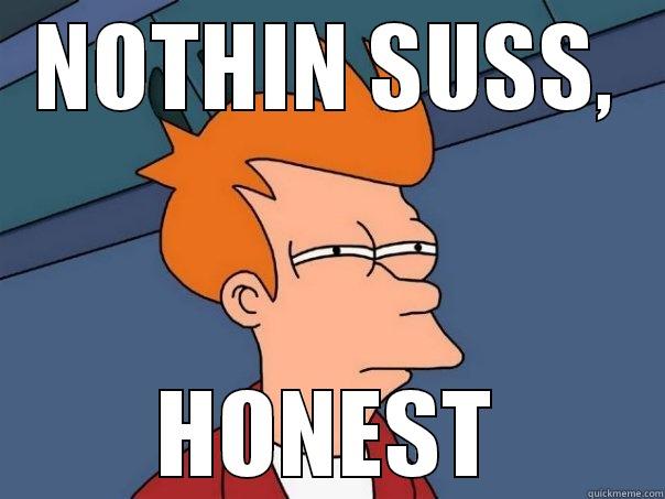 Nothing Suss - NOTHIN SUSS, HONEST Futurama Fry