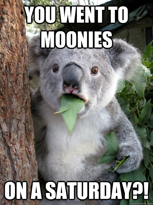 You went to Moonies ON A SATURDAY?!  koala bear