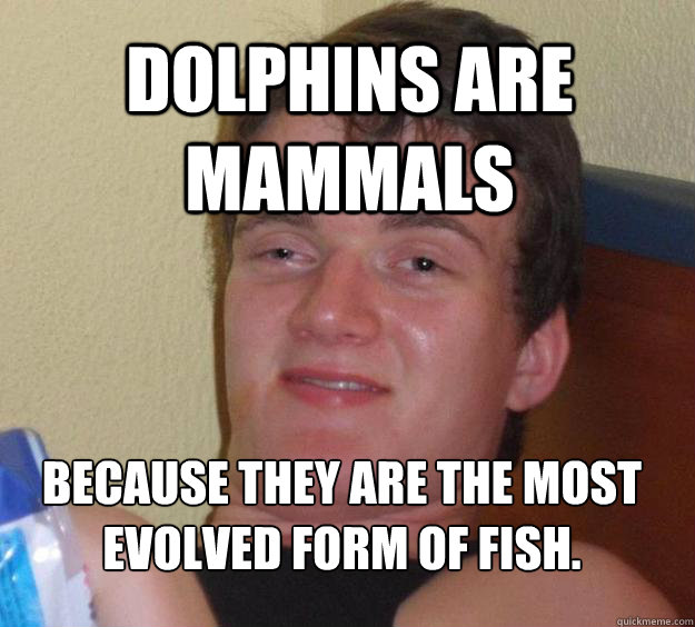 Dolphins are mammals  Because they are the most evolved form of fish.
  10 Guy