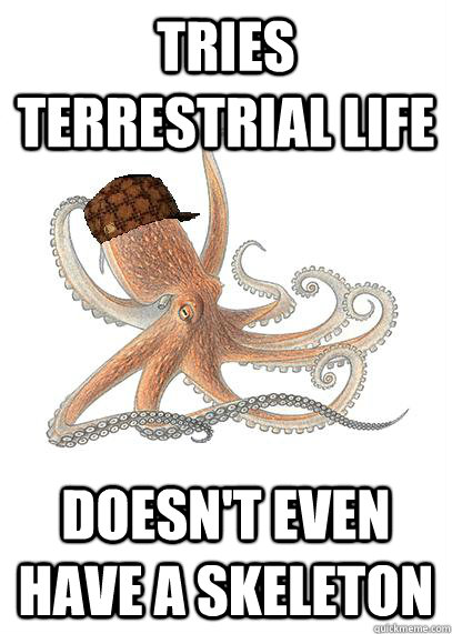Tries terrestrial life Doesn't even have a skeleton - Tries terrestrial life Doesn't even have a skeleton  Scumbag octopus
