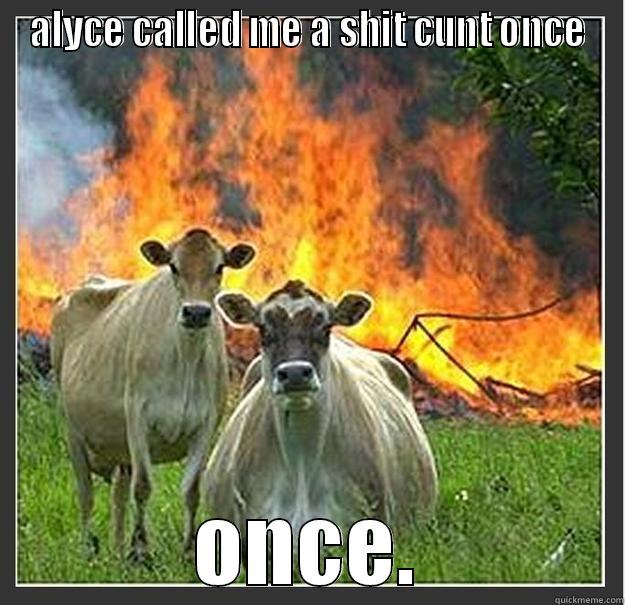 BOOM YACACH - ALYCE CALLED ME A SHIT CUNT ONCE ONCE. Evil cows