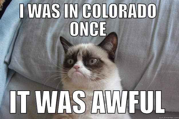 I WAS IN COLORADO ONCE IT WAS AWFUL Grumpy Cat