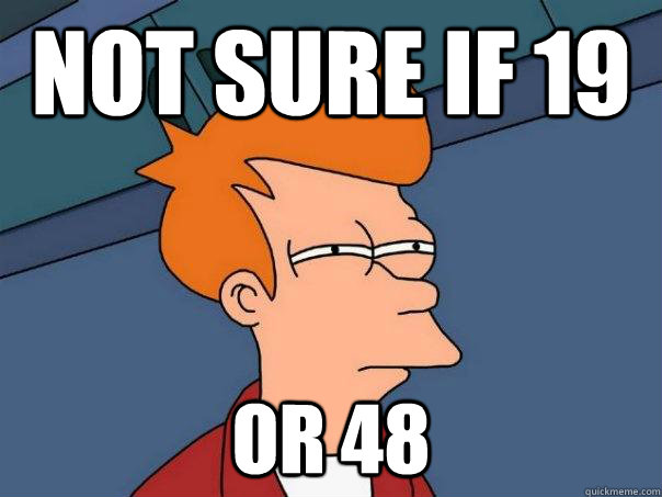 Not sure if 19 Or 48  Futurama Fry