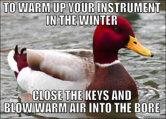 TO WARM UP YOUR INSTRUMENT IN THE WINTER CLOSE THE KEYS AND BLOW WARM AIR INTO THE BORE Malicious Advice Mallard