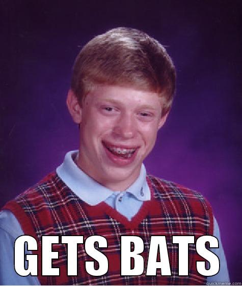  GETS BATS Bad Luck Brian