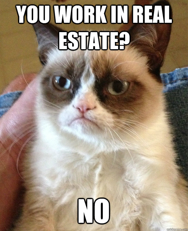 YOU WORK IN REAL ESTATE? NO  Grumpy Cat