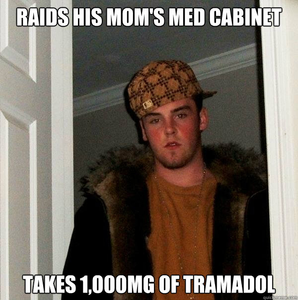 raids his mom's med cabinet takes 1,000mg of tramadol  Scumbag Steve