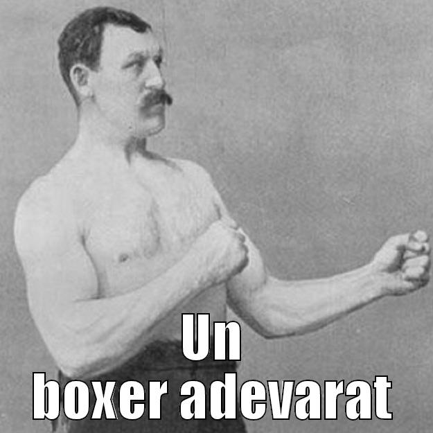  UN BOXER ADEVARAT overly manly man