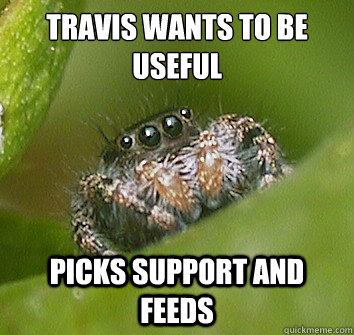 Travis wants to be useful Picks support and feeds   Misunderstood Spider