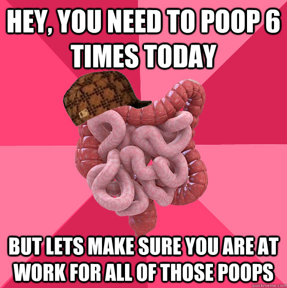 HEY, you need to poop 6 times today But lets make sure you are at work for all of those poops  Scumbag Intestines