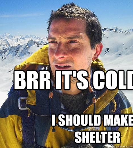 brr it's cold I should make a shelter  Bear Grylls