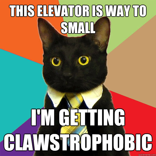 this elevator is way to small i'm getting clawstrophobic - this elevator is way to small i'm getting clawstrophobic  Business Cat