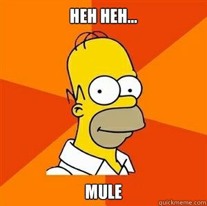 Heh heh... Mule - Heh heh... Mule  Advice Homer