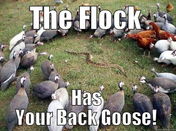 THE FLOCK HAS YOUR BACK GOOSE! Misc