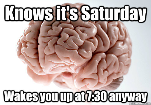 Knows it's Saturday Wakes you up at 7:30 anyway    Scumbag Brain