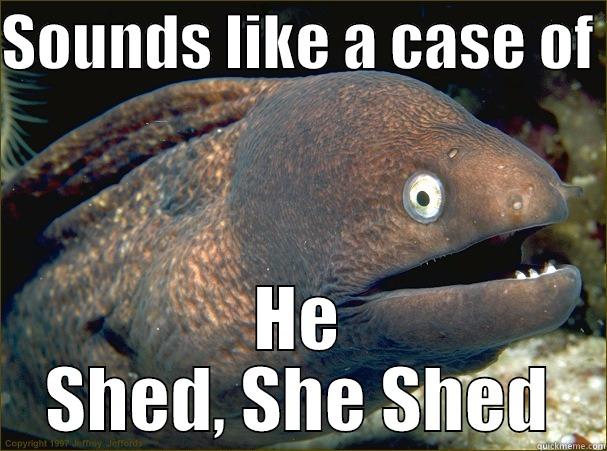 SOUNDS LIKE A CASE OF  HE SHED, SHE SHED Bad Joke Eel