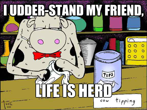 I udder-stand my friend, life is herd - I udder-stand my friend, life is herd  Cow Barman