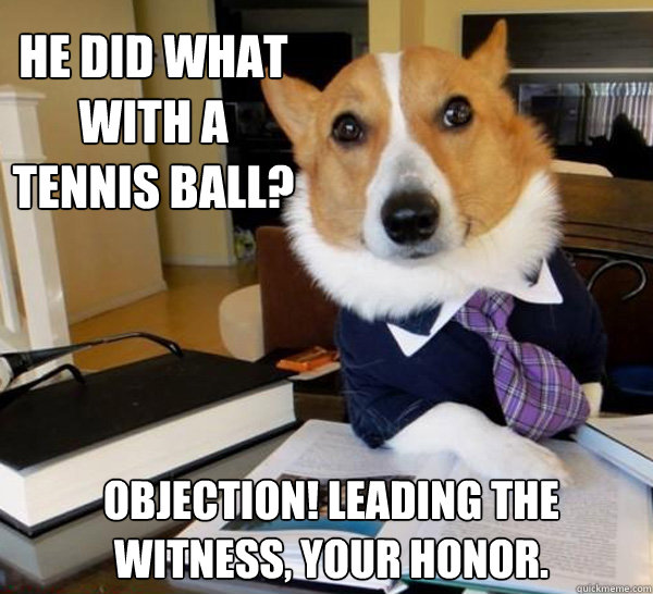 He did what with a tennis ball? Objection! Leading the Witness, your honor.  Lawyer Dog