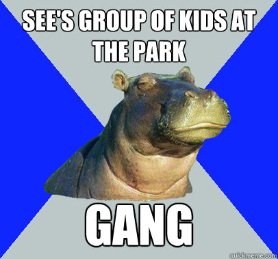 see's group of kids at the park gang  Skeptical Hippo