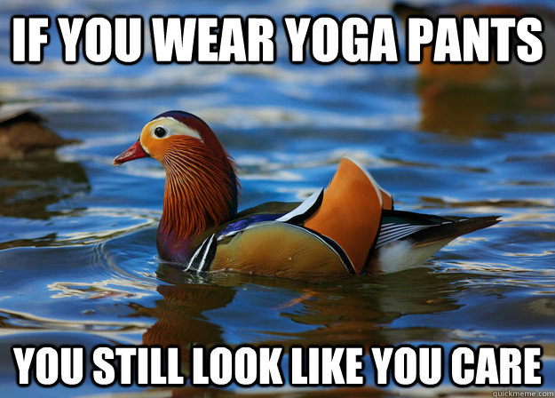 If you wear yoga pants you still look like you care  Fashion Advice Mallard