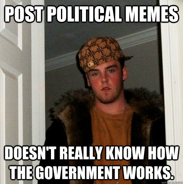 Post political memes Doesn't really know how the government works.  Scumbag Steve