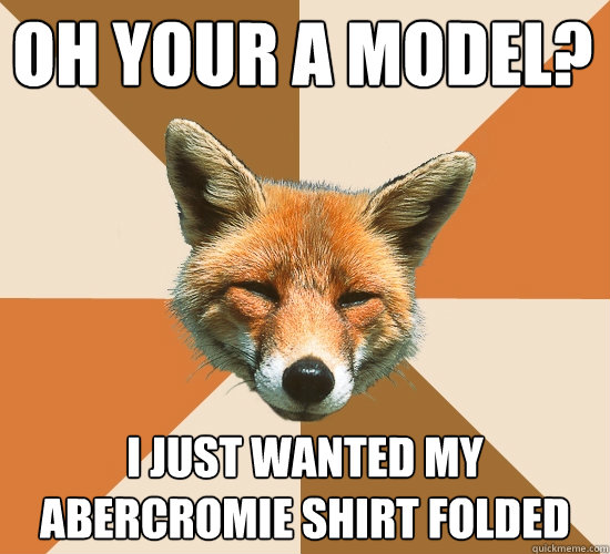 oh your a model? I just wanted my abercromie shirt folded  Condescending Fox