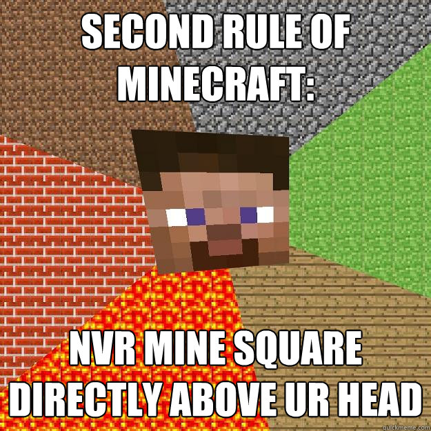 second rule of minecraft: nvr mine square directly above ur head - second rule of minecraft: nvr mine square directly above ur head  Minecraft