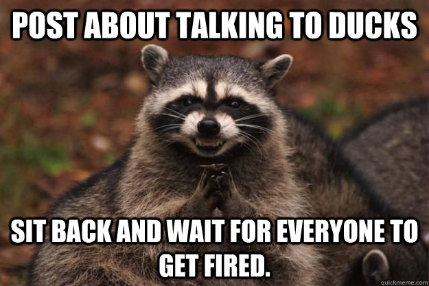 Post about talking to ducks Sit back and wait for everyone to get fired.  Evil Plotting Raccoon