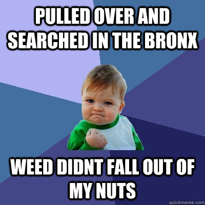 Pulled over and searched in the Bronx  Weed didnt fall out of my nuts  Success Kid