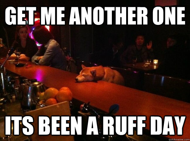 get me another one its been a ruff day - get me another one its been a ruff day  Rough Night Dog