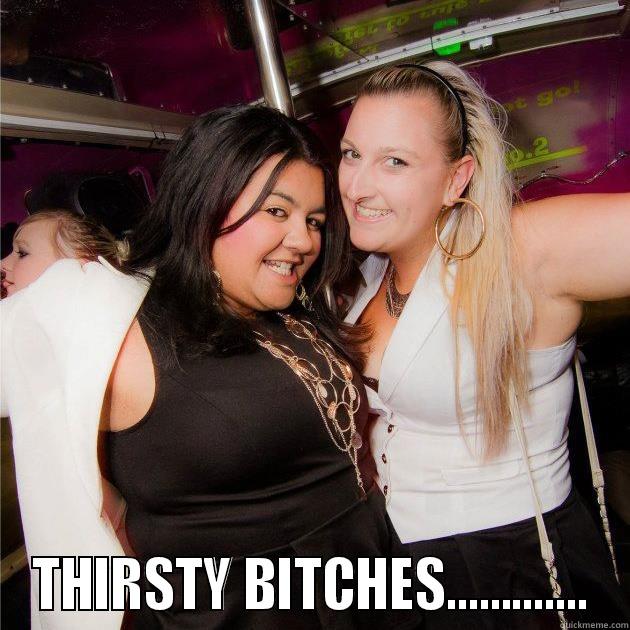  THIRSTY BITCHES............. Misc