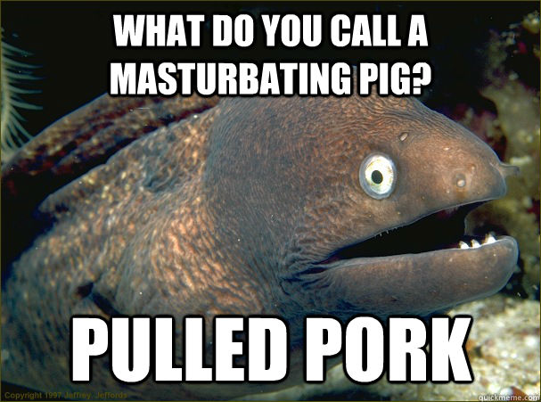 What do you call a masturbating pig? pulled pork - What do you call a masturbating pig? pulled pork  Bad Joke Eel