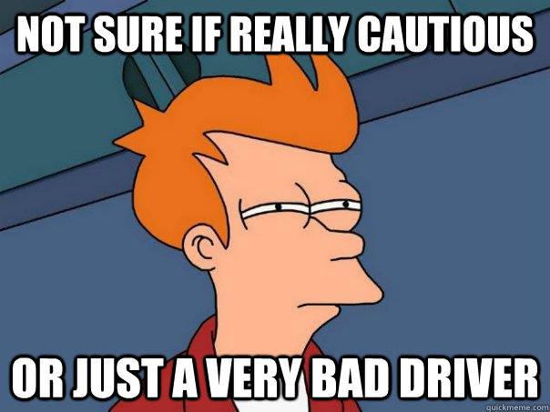 Not sure if really cautious or just a very bad driver  Futurama Fry