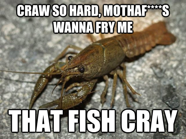 Craw so hard, mothaf****s wanna fry me That fish cray  