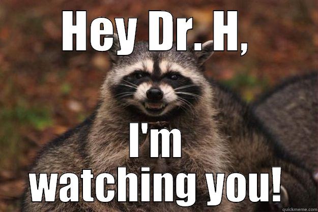 HEY DR. H, I'M WATCHING YOU! Evil Plotting Raccoon