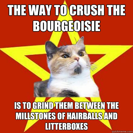 The way to crush the bourgeoisie is to grind them between the millstones of hairballs and litterboxes  Lenin Cat