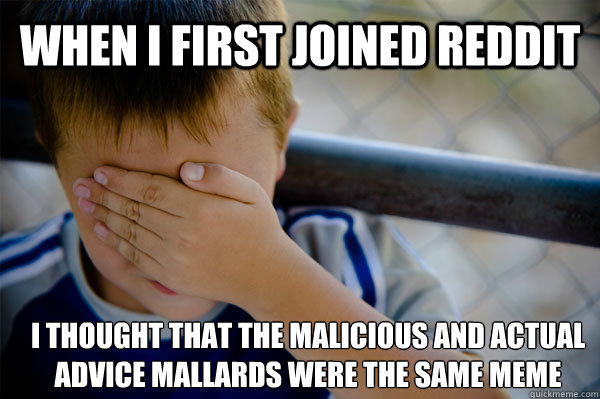 WHEN I first joined reddit I thought that the malicious and actual advice mallards were the same meme  Confession kid